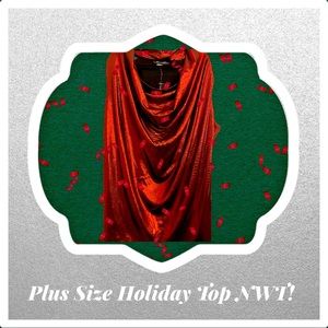 Plus Size Metallic Red Drape Neck Top 30/32